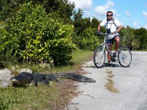 Shark Valley bicycle trail by tiswango via Flickr