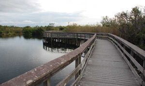 Anhinga Trail at the Everglades National Park Anhinga Trail at Everglades National Park