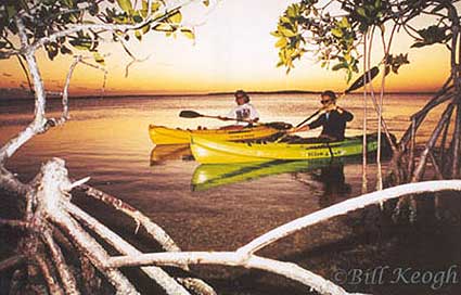 Big Pine Kayak Adventures, Big Pine Key, Florida