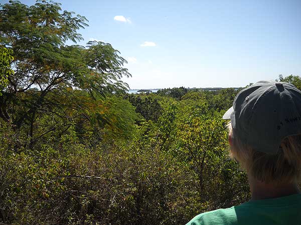 Mound Key Archaeological State Park: The view