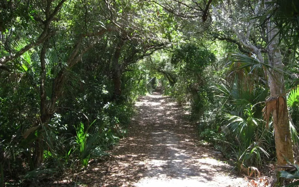 Castle Windy Trail at Canaveral National Seashore