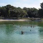 Swimmers enjoy Lithia Spring