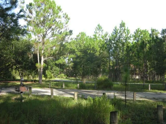 A broader view of a campsite at Moss Park