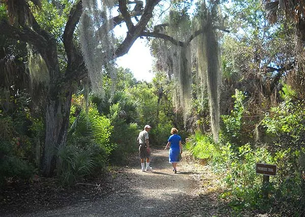 Trails on the eastern side of Cayo Costa State Park are shaded by oaks. (Photo: Bonnie Gross)