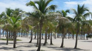 Crandon Park Beach is a secret to all but Miamians