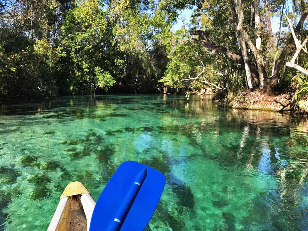 Kayaking in Orlando area: Weeki Wachee Spring has such a large flow of crystalline water that it replaces the water in the river every 60 minutes, making the water spectacularly clear and clean. (Photo: Bonnie Gross)