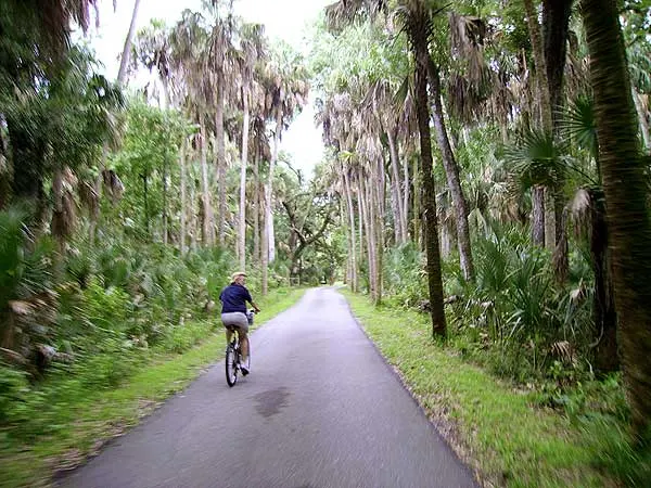 Biking through Highland Hammocks State Park along the Florida Cracker Trail. (Photo: David Blasco)