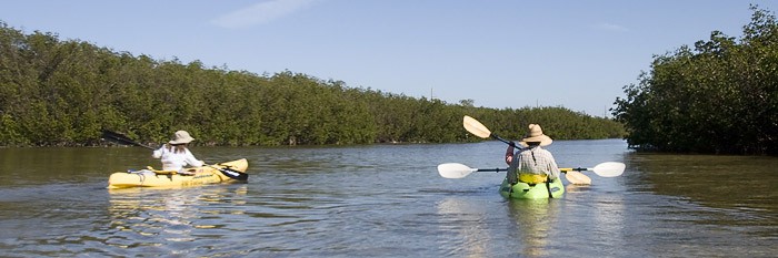 Kayak trail at Curry Hammock State Park