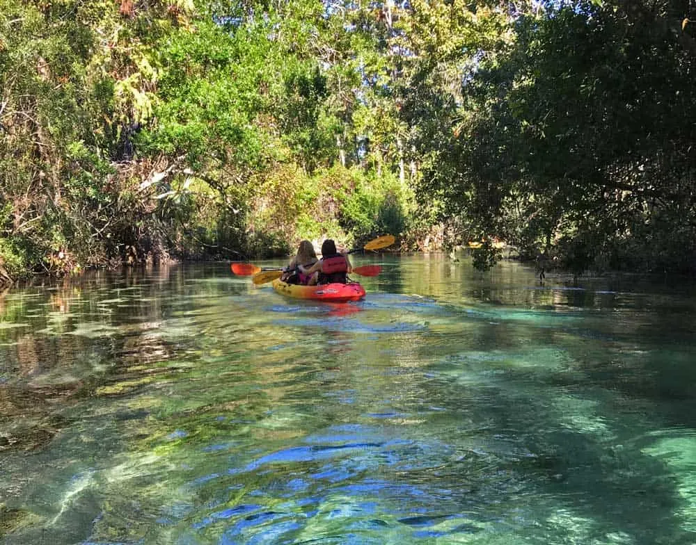 The Weeki Wachee is a fairly narrow stream, at most places about as wide as two lanes on the highway, making it a more intimate experience than many springs. (Photo: Bonnie Gross)