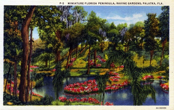 Azalea gardens at Ravine Gardens State Park, Palatka, Florida