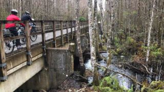 The highlights of our ride on the Van Fleet Trail were the three bridges over the Withlacoochee River, which are between miles 10 and 12. (Photo: Bonnie Gross)