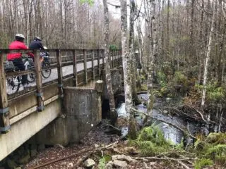 The highlights of our ride on the Van Fleet Trail were the three bridges over the Withlacoochee River, which are between miles 10 and 12. (Photo: Bonnie Gross)