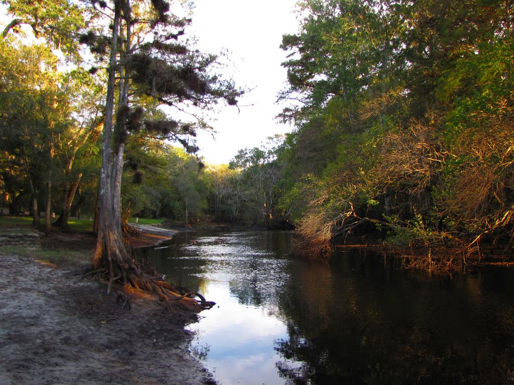 Florida kayaking trail Withlacoochee River is one of the prettiest