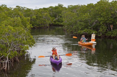 Trail for kayaks and canoes through mangroves at Pennekamp State Park