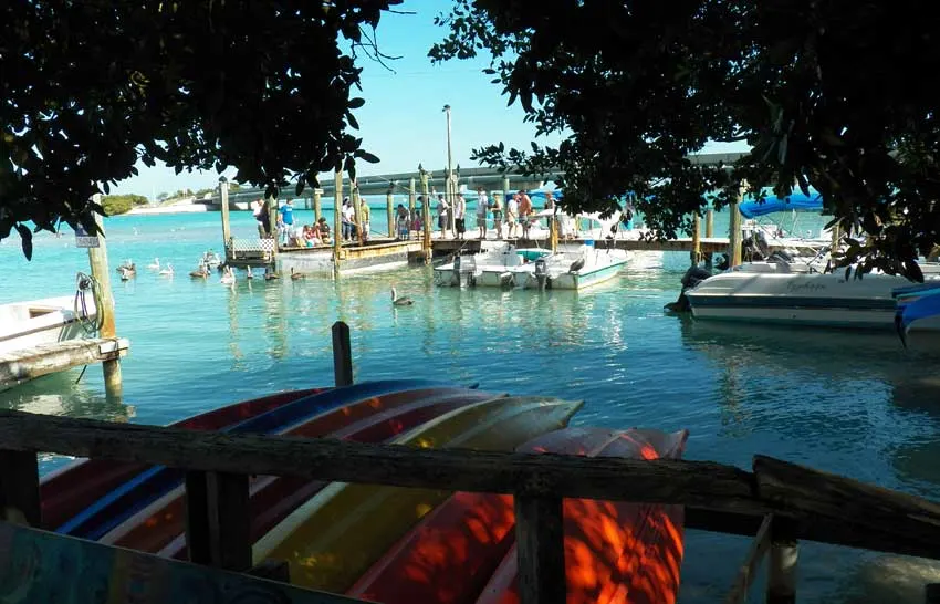 Things to do in Islamorada: The dock at Robbie's Marina in the Florida Keys