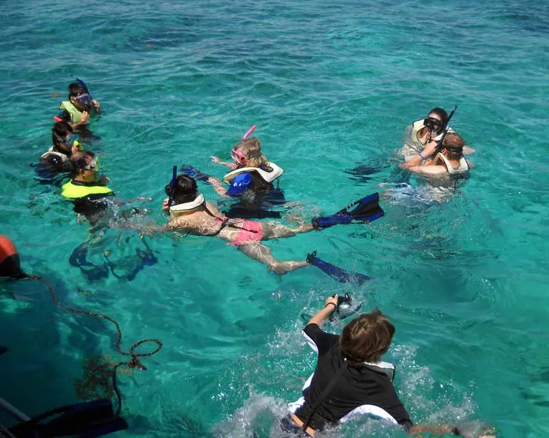 Snorkelers at Biscayne National Park begin exploring the Mandalay wreck. (Photo: David Blasco)