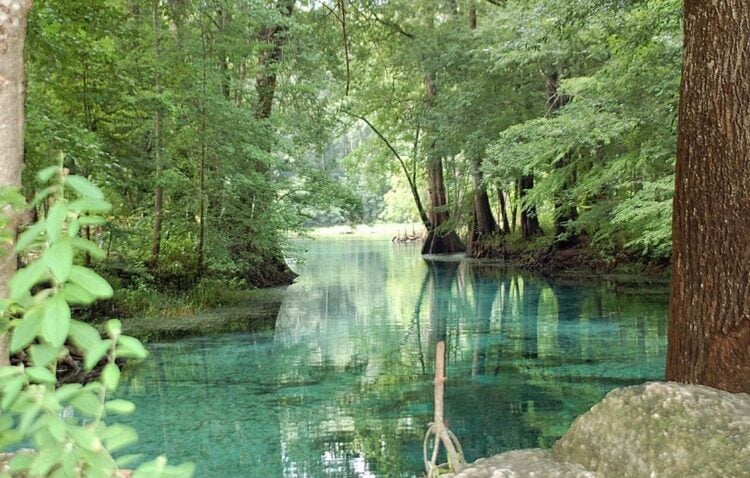 Cool Escapes: Florida's best springs to swim, tube, snorkel & dive 1 Ichetucknee Spring