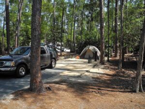 My campsite at Fort Wilderness