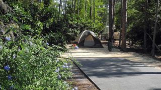 Fort Wilderness campsite