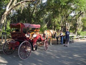 Carriage ride at Fort Wilderness