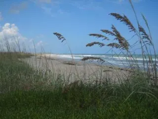 Secret beach: Hobe Sound NWR sea oats