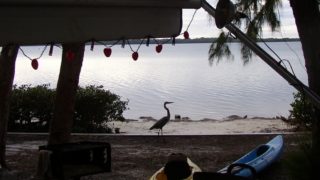 Waterfront campsite at Fort Desoto