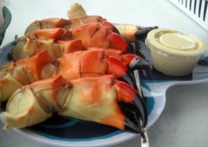 Stone crabs from Triad Seafood, Everglades City