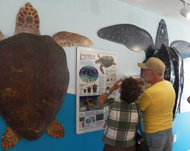 Visitors waiting to tour the Turtle Hospital in Marathon.