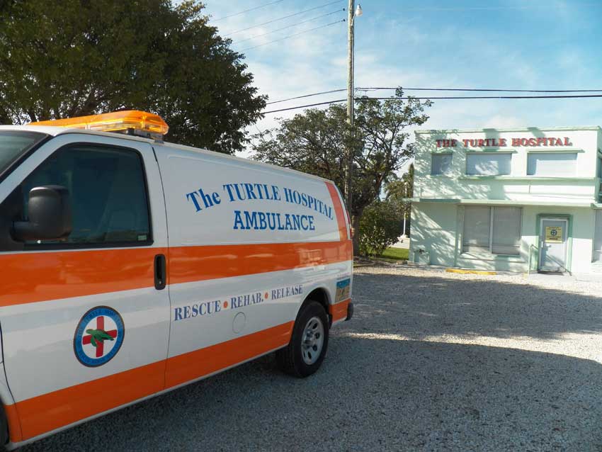 The turtle ambulance at the Turtle Hospital, Marathon, Florida