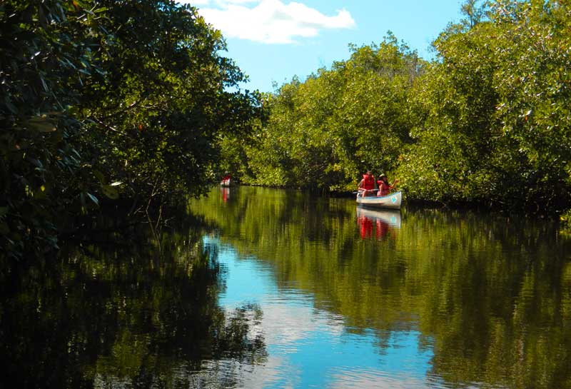 Things to do in Marco Island: Kayaking at Collier-Seminole State Park. (Photo; David Blasco)
