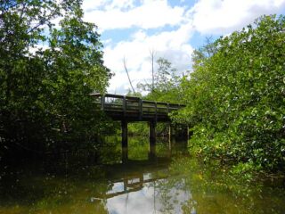 Kayak trail under bridge at St. Lucie Inlet Preserve State