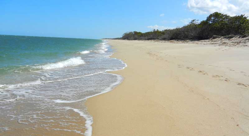 Hidden beach at St. Lucie Inlet Preserve State Park in Florida