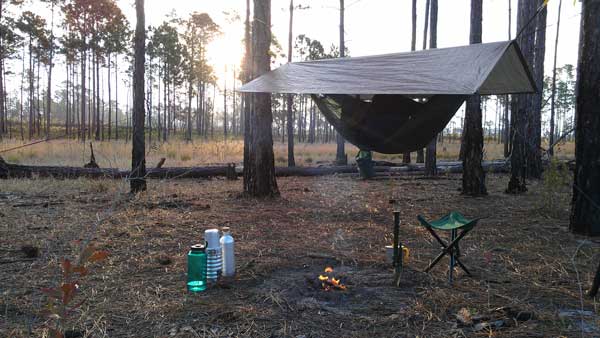 Hammock tent in Ocala National Forest