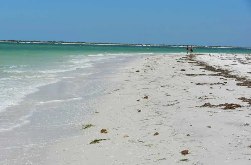 Honeymoon Island State Park A Natural Beach With Comforts