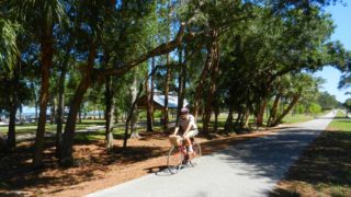 Shaded section of the Pinellas Trail