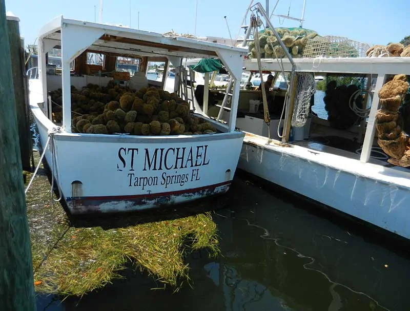 SSponge fishing boat in Tarpon Springs on boat trip that includes stop on Anclote Key.