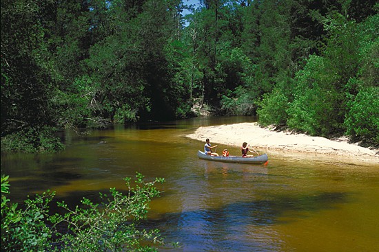 Florida Panhandle camping: Blackwater River State Park