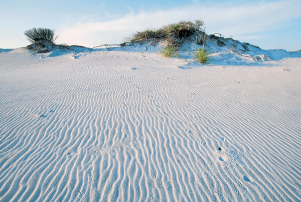 Dunes at Florida's Grayton Beach State Park