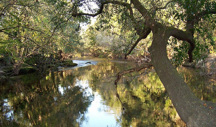 Lithia Springs lithia spring park alafia river Lithia Springs: Camp at this cool, secluded park near Tampa