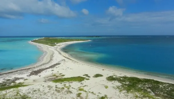 Bush Key is connected to Garden Key, home of Fort Jefferson, by a sandbar. It is the site of a large tern rookery. It is closed to visitors from April to September to protect nesting Sooty Terns and Brown Noddys.
