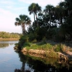 rv tomoka calmwaters larryarrington Coming to Florida in your RV? Take a break after crossing the state line