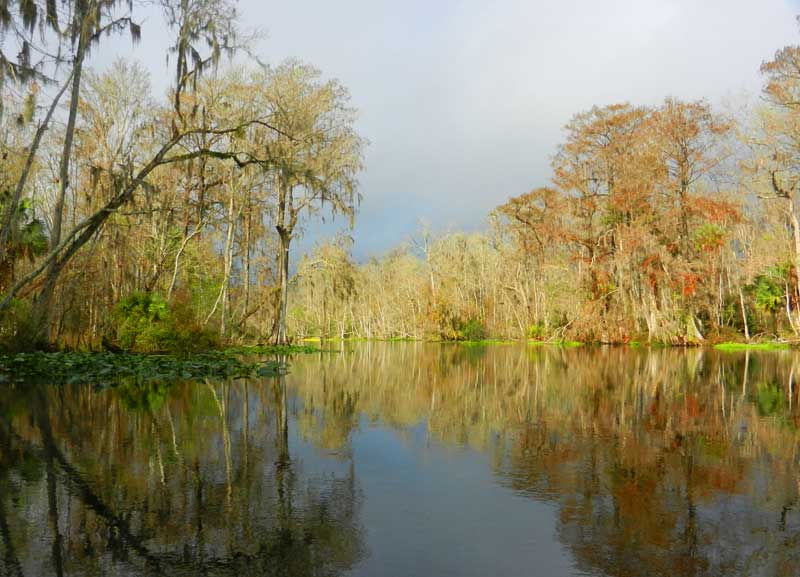 The Silver River at Silver Springs State Park. (Photo: Bonnie Gross)