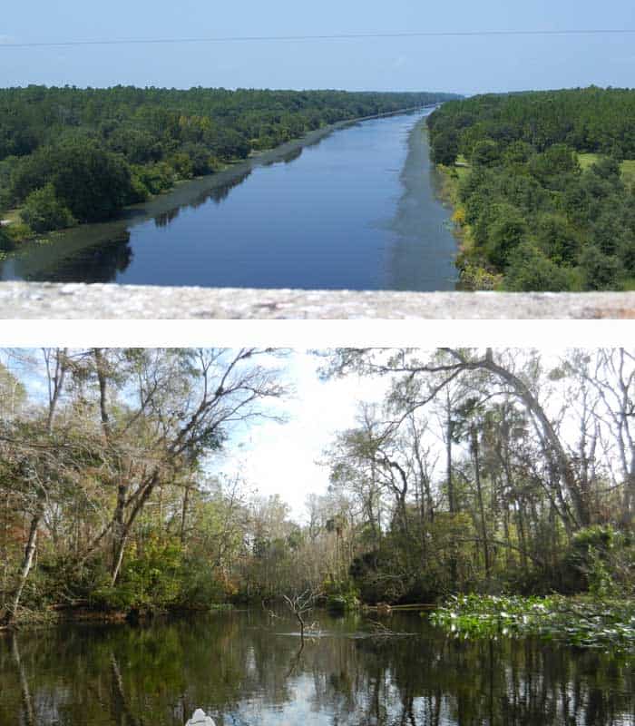 At top, a portion of the Cross Florida Barge Canal that was completed, representing what the Ocklawaha could look like today. Below, what it actually looks like today.