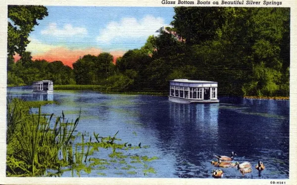 Silver Springs 1947 postcard