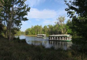 Glass bottom boats at Silver Springs State Park are identical to the originals (Photo: Bonnie Gross)