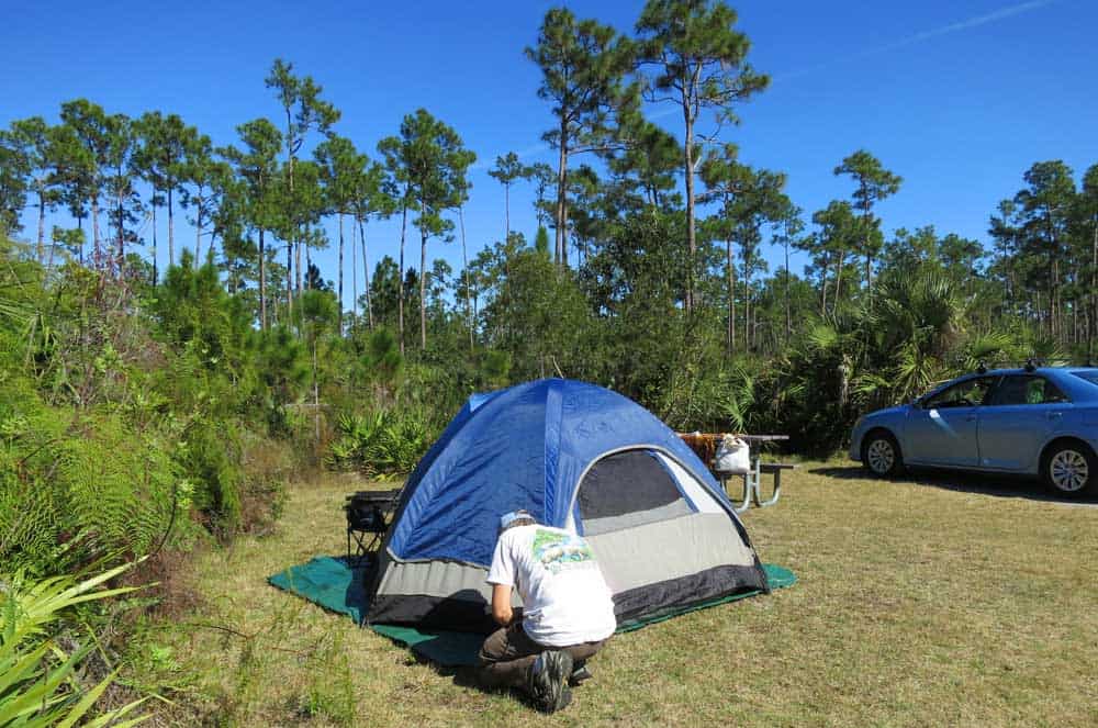 Long Pine Key Campground in Everglades National Park. (Photo: Bonnie Gross)