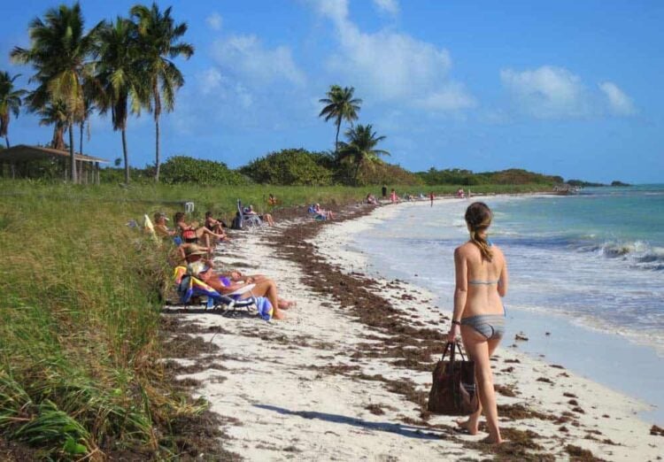 Best beaches in the Florida Keys and Key West 12 Sandspur Beach at Bahia Honda State Park in the Florida Keys