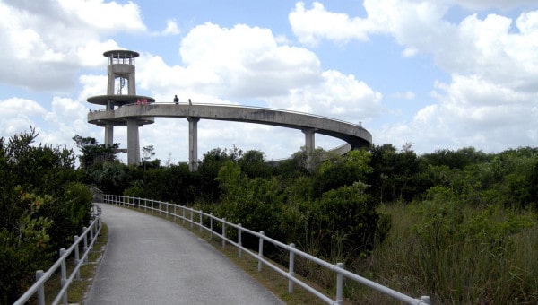 The observation tower at Shark Valley in Everglades National Park. (Photo: Wikimedia.)