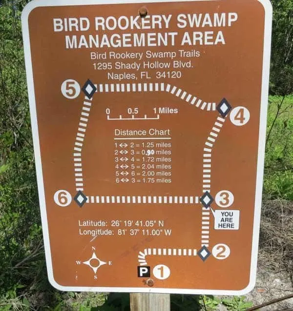 Corkscrew Bird Rookery Swamp Trail has excellent signage. 