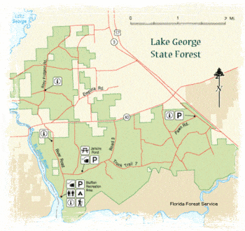 lake george state forest